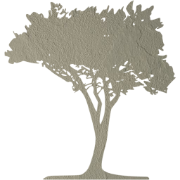 tree 51 icon