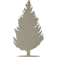 tree 55