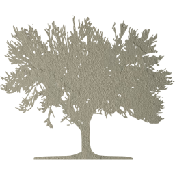 tree 59 icon