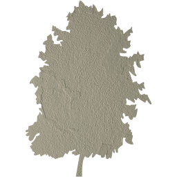 tree 73 icon