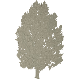 tree 76 icon