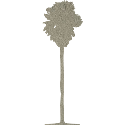 tree 77 icon