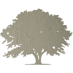 tree 9 icon