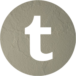 tumblr 4 icon