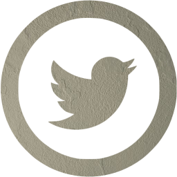 twitter 5 icon