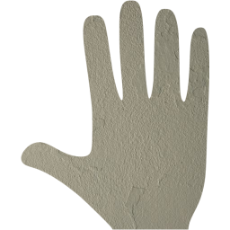 whole hand icon