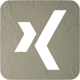 xing 3 icon