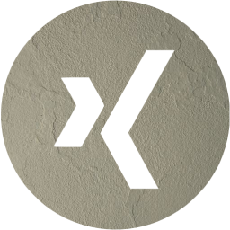 xing 4 icon