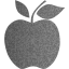 apple 2