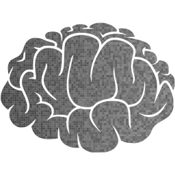 brain 2 icon