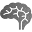 brain