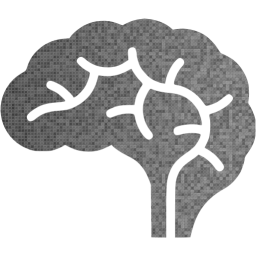 brain icon