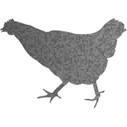 chicken 2 icon