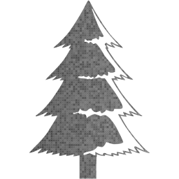 christmas 30 icon