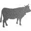 cow 2