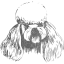 dog 12
