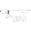 dog 14