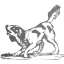 dog 22