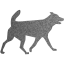 dog 32