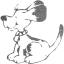 dog 9