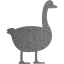 duck 2