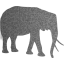 elephant 3