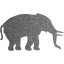 elephant 5