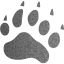 footprints bear