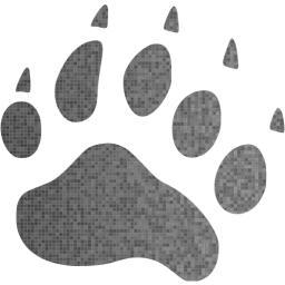 footprints bear icon