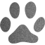 footprints cat