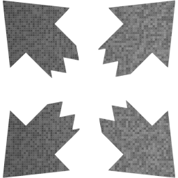 fullscreen 10 icon