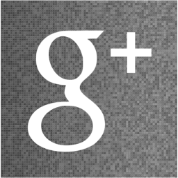 google plus 2 icon