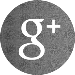 google plus 4 icon