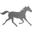 horse 3