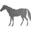 horse 4