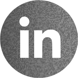 linkedin 4 icon