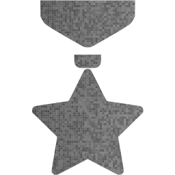 medal icon