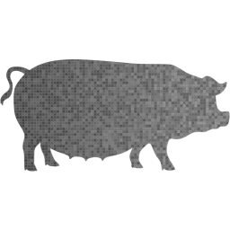 pig 3 icon