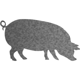 pig 4 icon