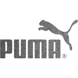 puma icon