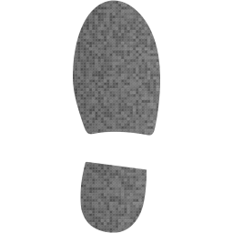 right shoe footprint icon