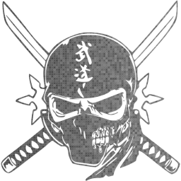 skull 11 icon