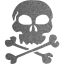 skull 22