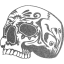 skull 24