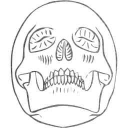 skull 29 icon