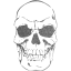 skull 41