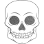 skull 55