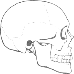 skull 62 icon