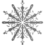 snowflake 10