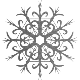 snowflake 28 icon
